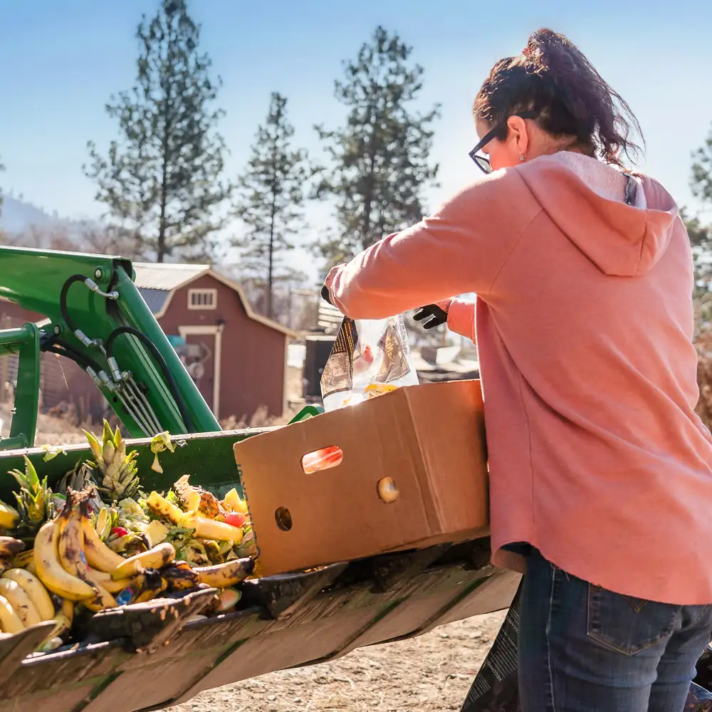 Farmers benefit from Loop to feed their animals